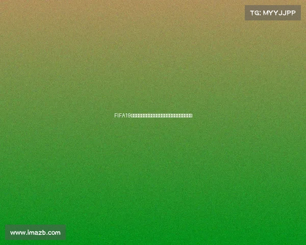 FIFA19经理模式世界杯征战传奇打造最强国家队夺冠之路纪实
